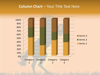 Farm Ranch Tail PowerPoint Template