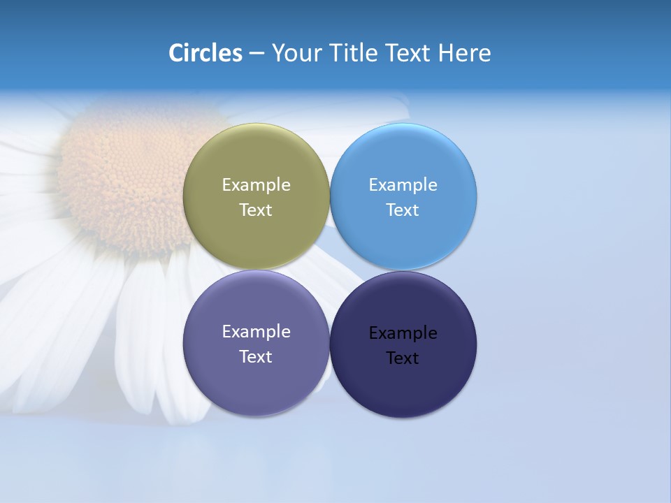 Blossom Healthy Plant PowerPoint Template