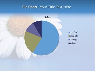 Blossom Healthy Plant PowerPoint Template