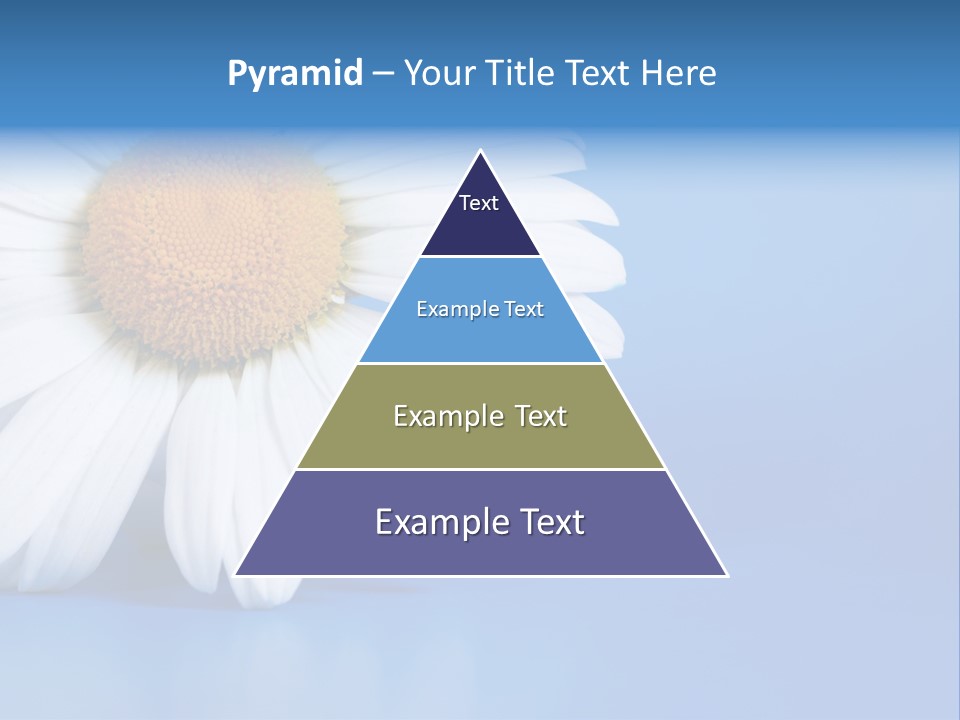 Blossom Healthy Plant PowerPoint Template