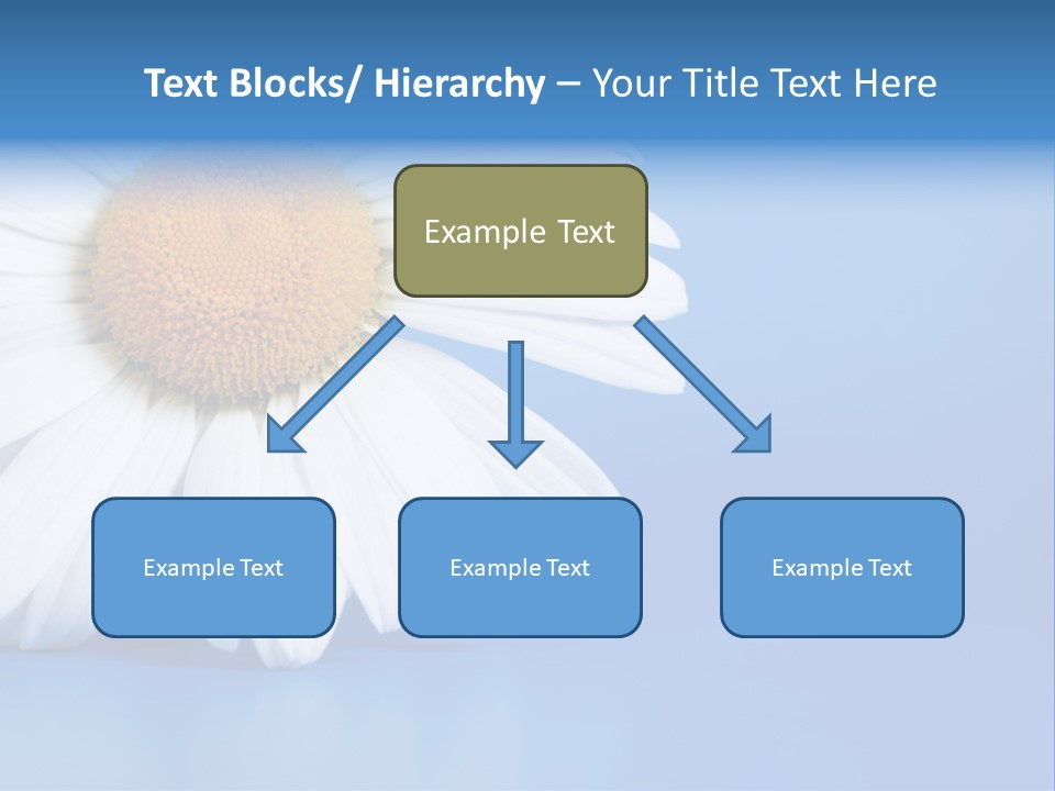Blossom Healthy Plant PowerPoint Template
