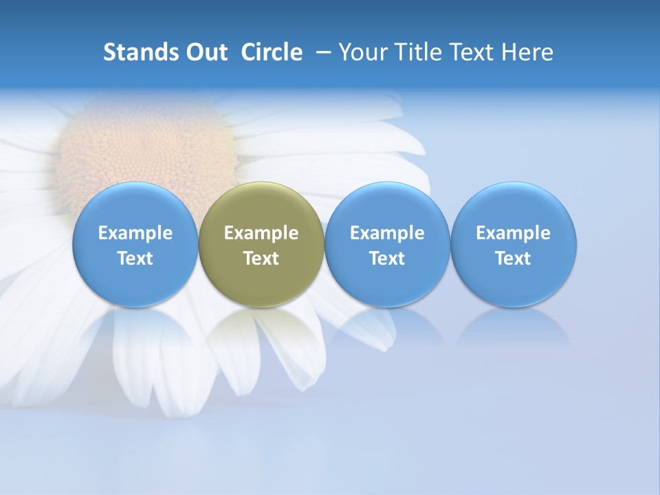 Blossom Healthy Plant PowerPoint Template