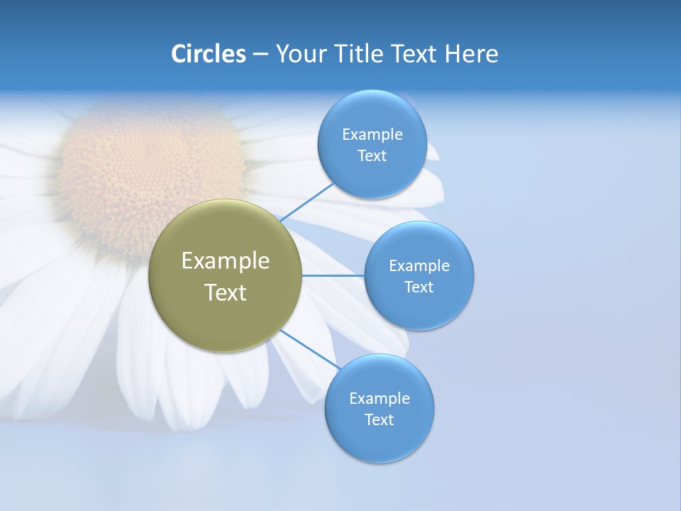 Blossom Healthy Plant PowerPoint Template