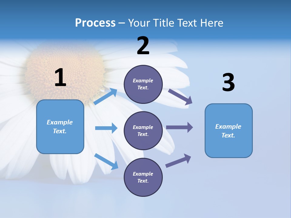 Blossom Healthy Plant PowerPoint Template