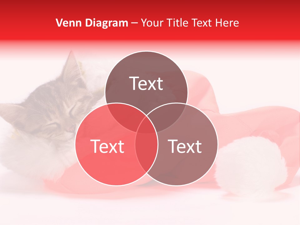 Event Merry Baby PowerPoint Template