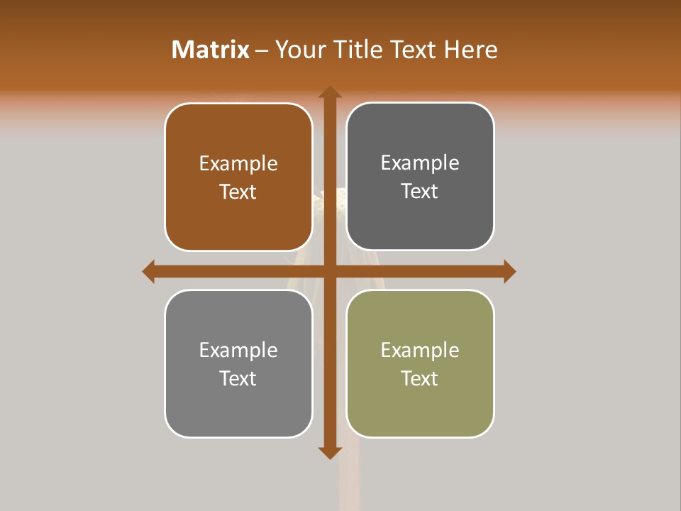 A Dandelion Powerpoint Presentation With A Black Background PowerPoint Template
