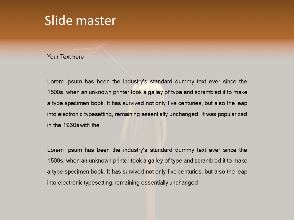 A Dandelion Powerpoint Presentation With A Black Background PowerPoint Template