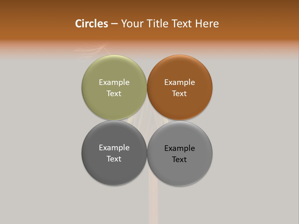 A Dandelion Powerpoint Presentation With A Black Background PowerPoint Template