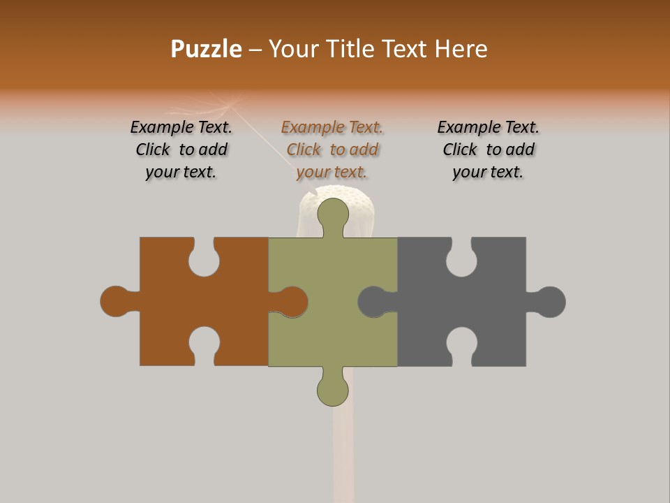 A Dandelion Powerpoint Presentation With A Black Background PowerPoint Template