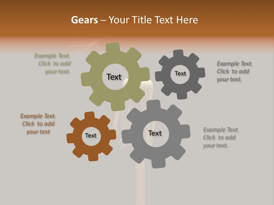 A Dandelion Powerpoint Presentation With A Black Background PowerPoint Template