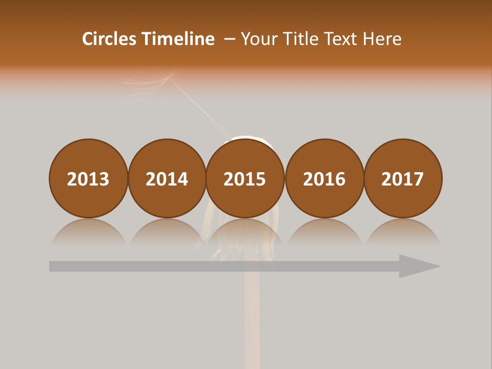 A Dandelion Powerpoint Presentation With A Black Background PowerPoint Template