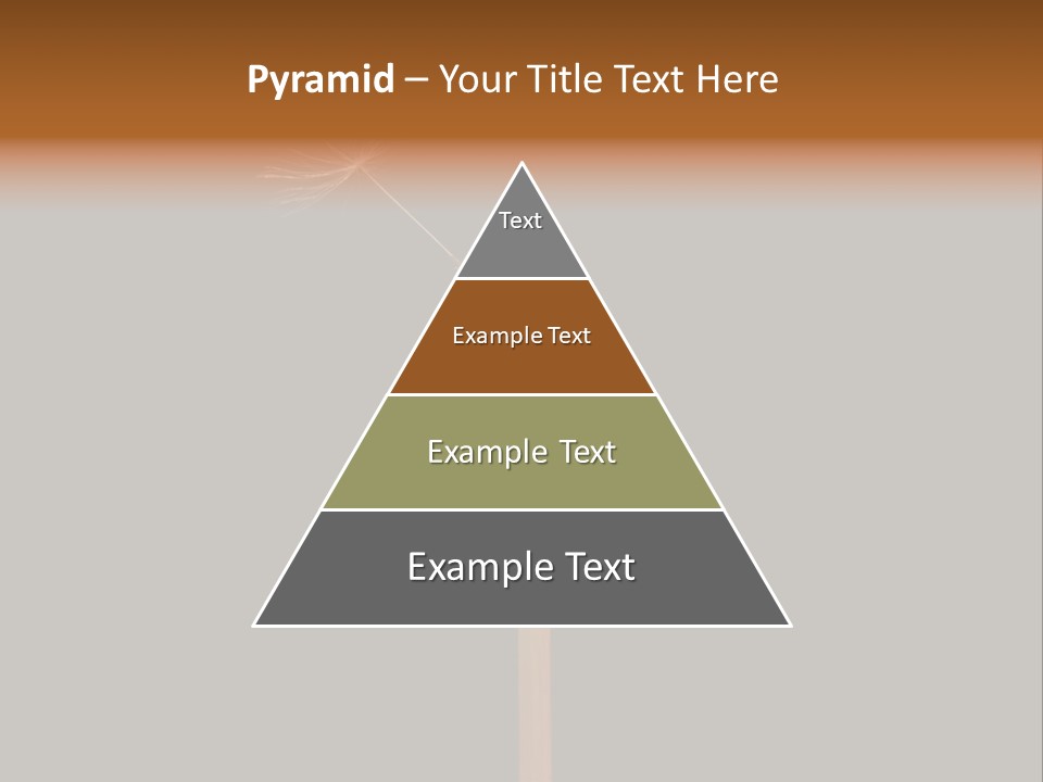 A Dandelion Powerpoint Presentation With A Black Background PowerPoint Template