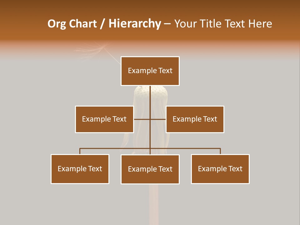 A Dandelion Powerpoint Presentation With A Black Background PowerPoint Template