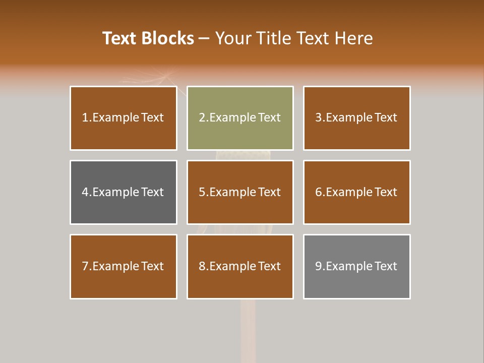 A Dandelion Powerpoint Presentation With A Black Background PowerPoint Template