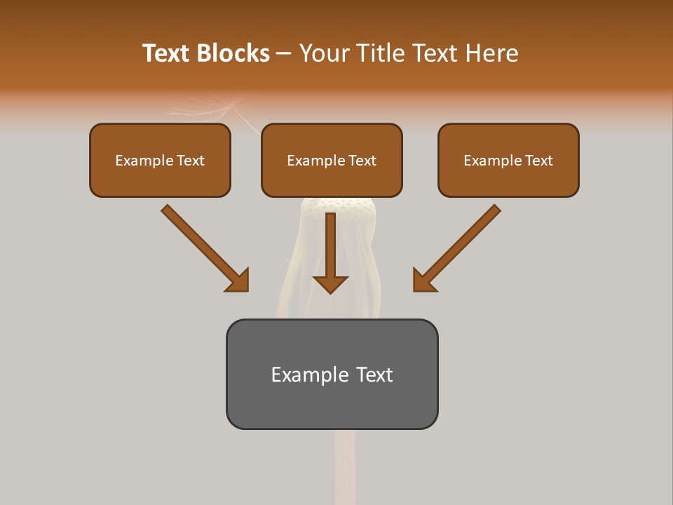 A Dandelion Powerpoint Presentation With A Black Background PowerPoint Template