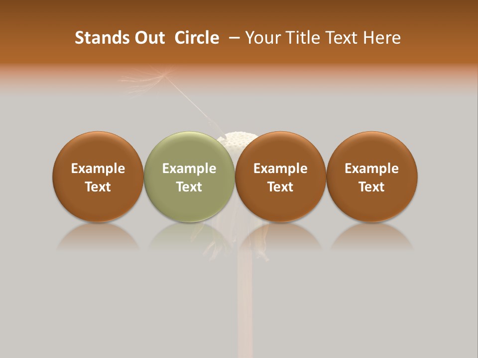 A Dandelion Powerpoint Presentation With A Black Background PowerPoint Template