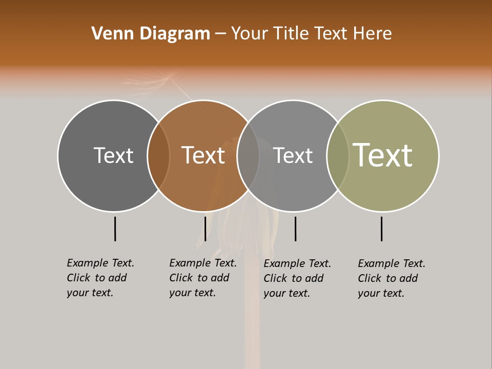 A Dandelion Powerpoint Presentation With A Black Background PowerPoint Template