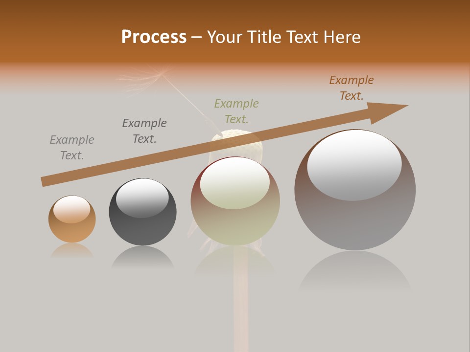 A Dandelion Powerpoint Presentation With A Black Background PowerPoint Template