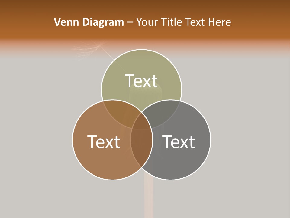 A Dandelion Powerpoint Presentation With A Black Background PowerPoint Template