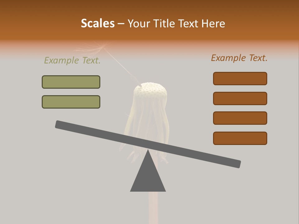 A Dandelion Powerpoint Presentation With A Black Background PowerPoint Template