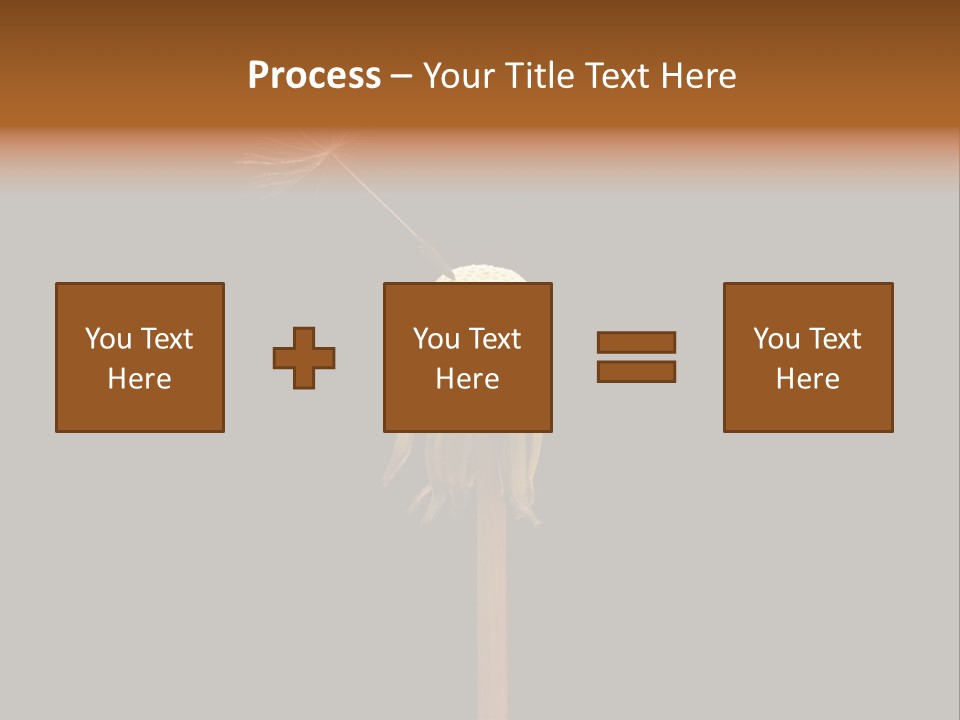 A Dandelion Powerpoint Presentation With A Black Background PowerPoint Template