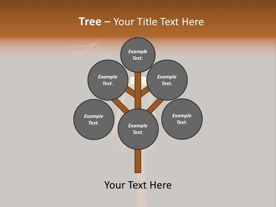 A Dandelion Powerpoint Presentation With A Black Background PowerPoint Template