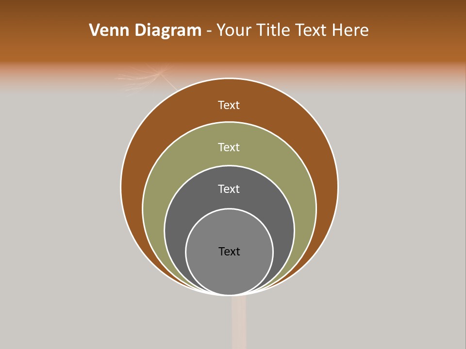 A Dandelion Powerpoint Presentation With A Black Background PowerPoint Template