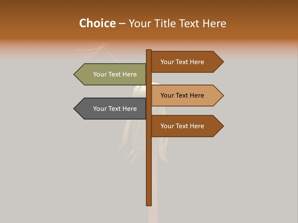 A Dandelion Powerpoint Presentation With A Black Background PowerPoint Template
