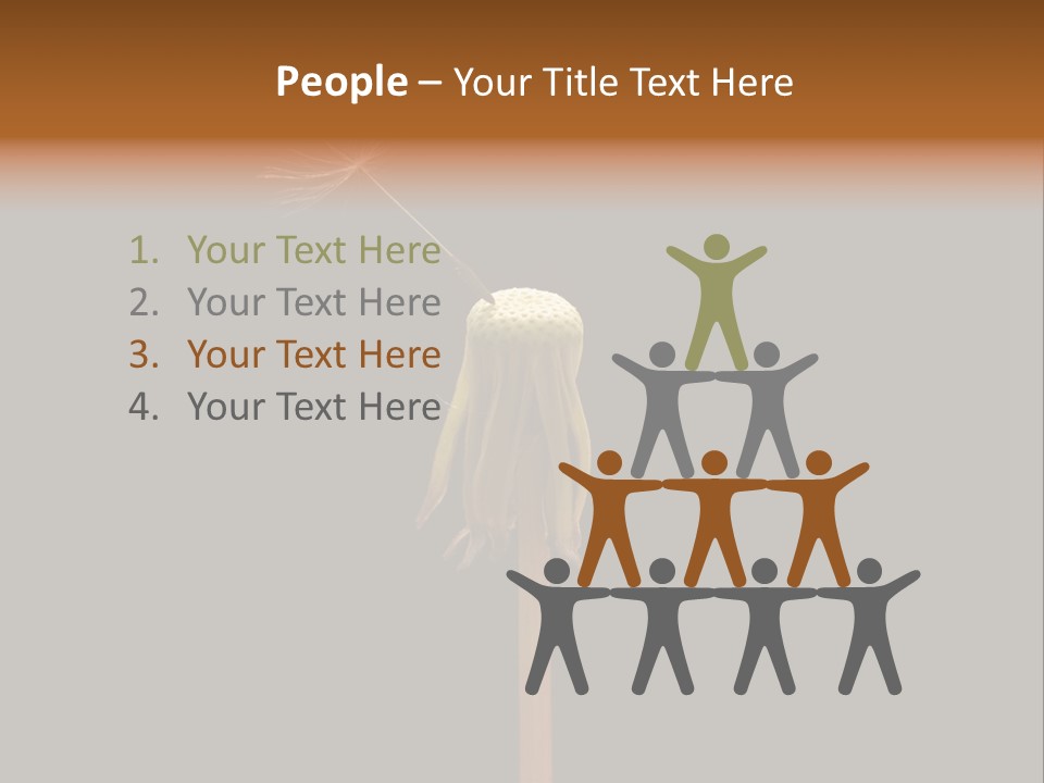 A Dandelion Powerpoint Presentation With A Black Background PowerPoint Template