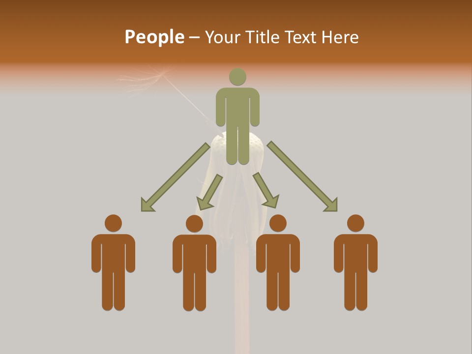 A Dandelion Powerpoint Presentation With A Black Background PowerPoint Template