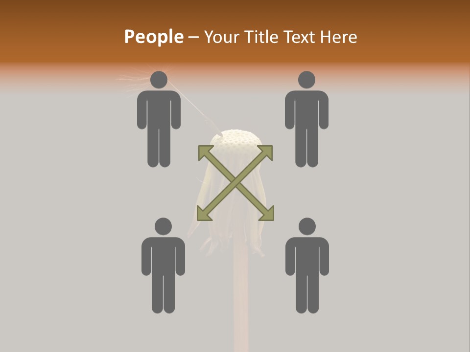 A Dandelion Powerpoint Presentation With A Black Background PowerPoint Template