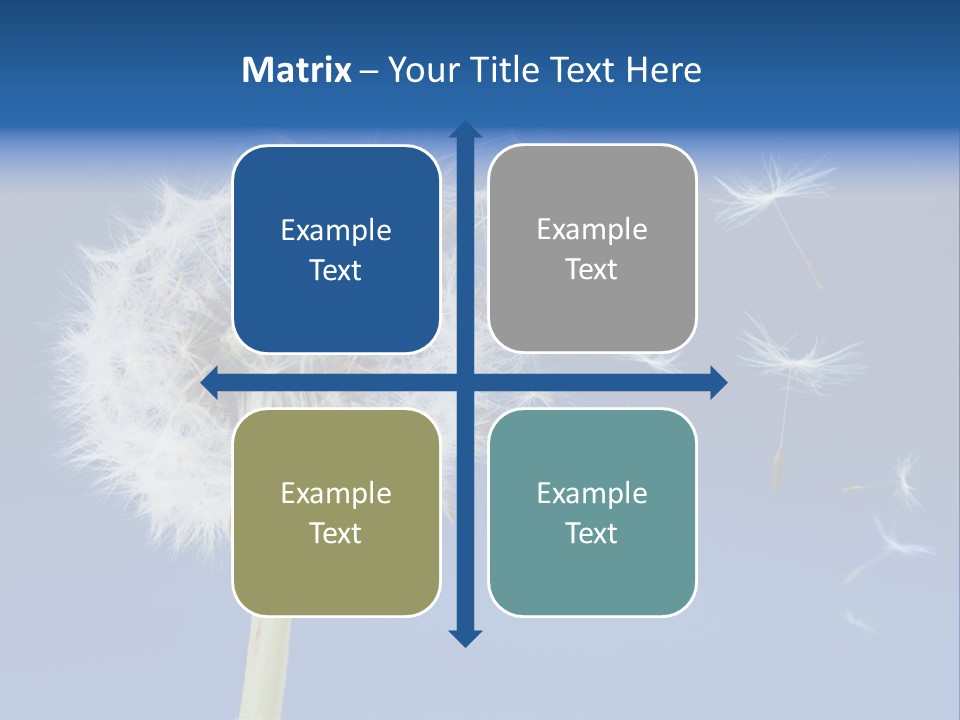 Sky Sunlight Seed PowerPoint Template