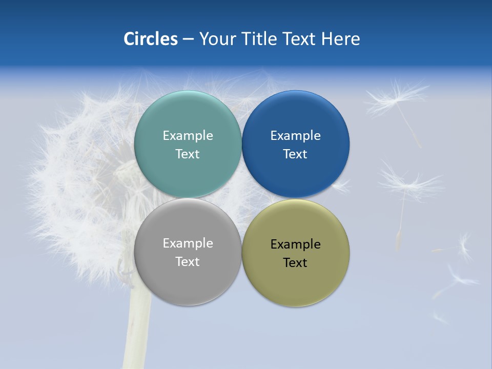 Sky Sunlight Seed PowerPoint Template