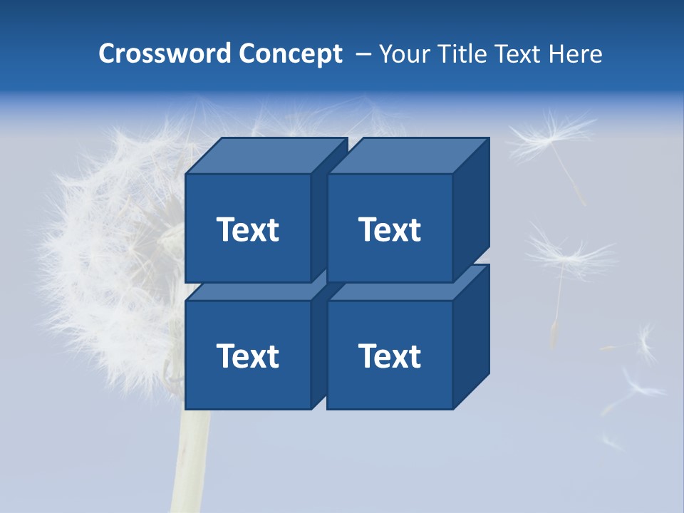 Sky Sunlight Seed PowerPoint Template