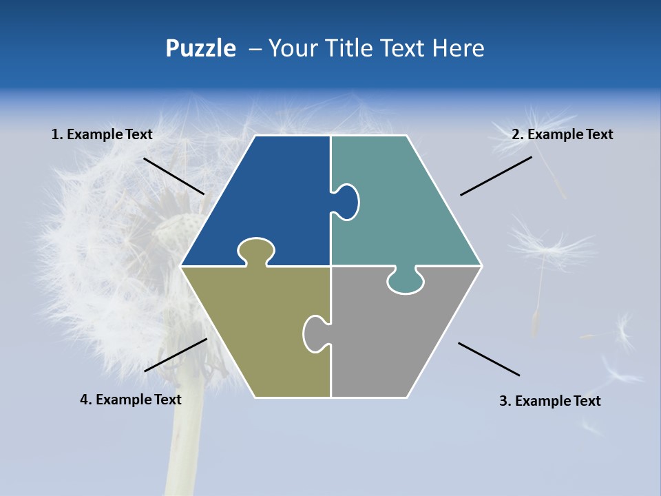 Sky Sunlight Seed PowerPoint Template