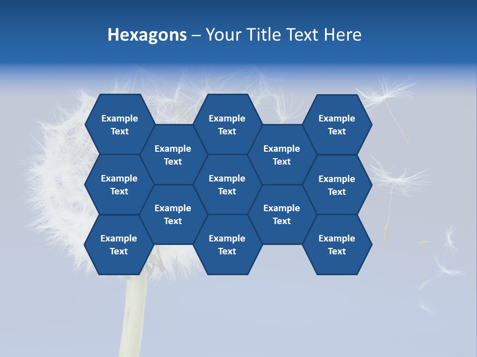 Sky Sunlight Seed PowerPoint Template