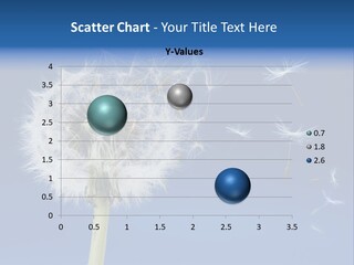 Sky Sunlight Seed PowerPoint Template