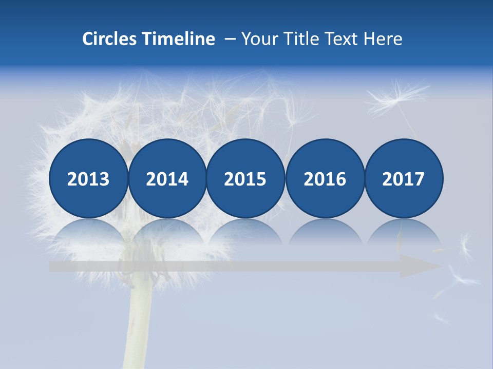 Sky Sunlight Seed PowerPoint Template