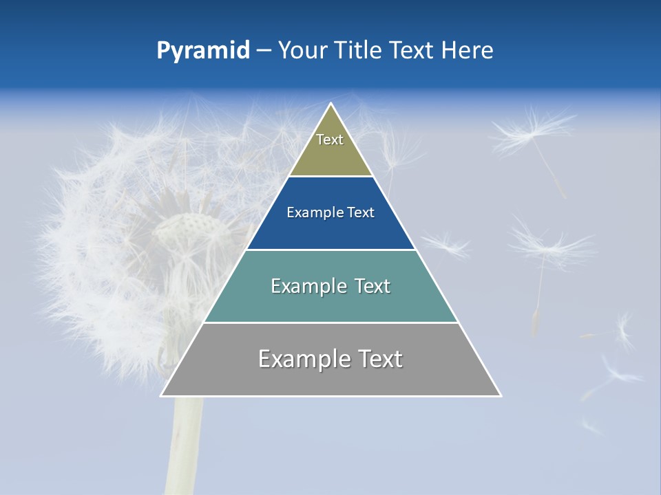 Sky Sunlight Seed PowerPoint Template