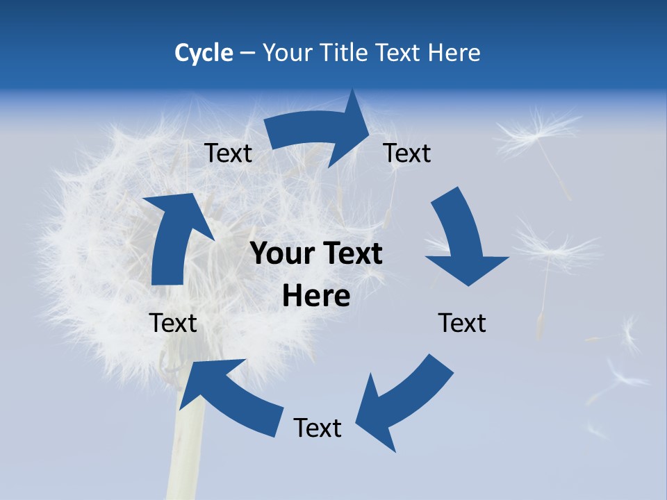 Sky Sunlight Seed PowerPoint Template