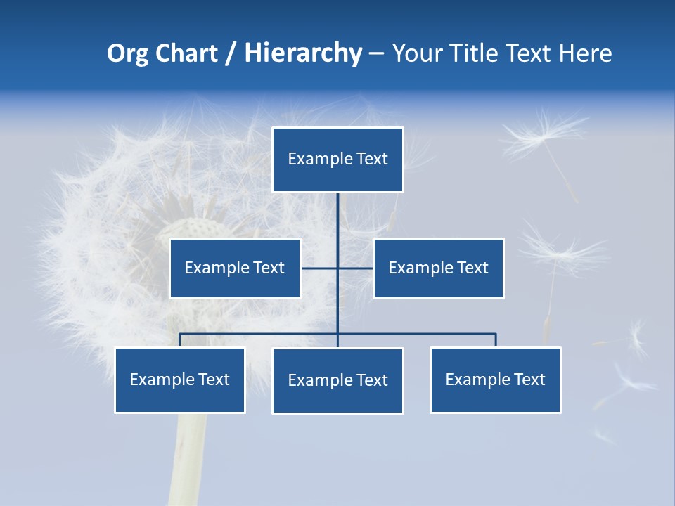 Sky Sunlight Seed PowerPoint Template