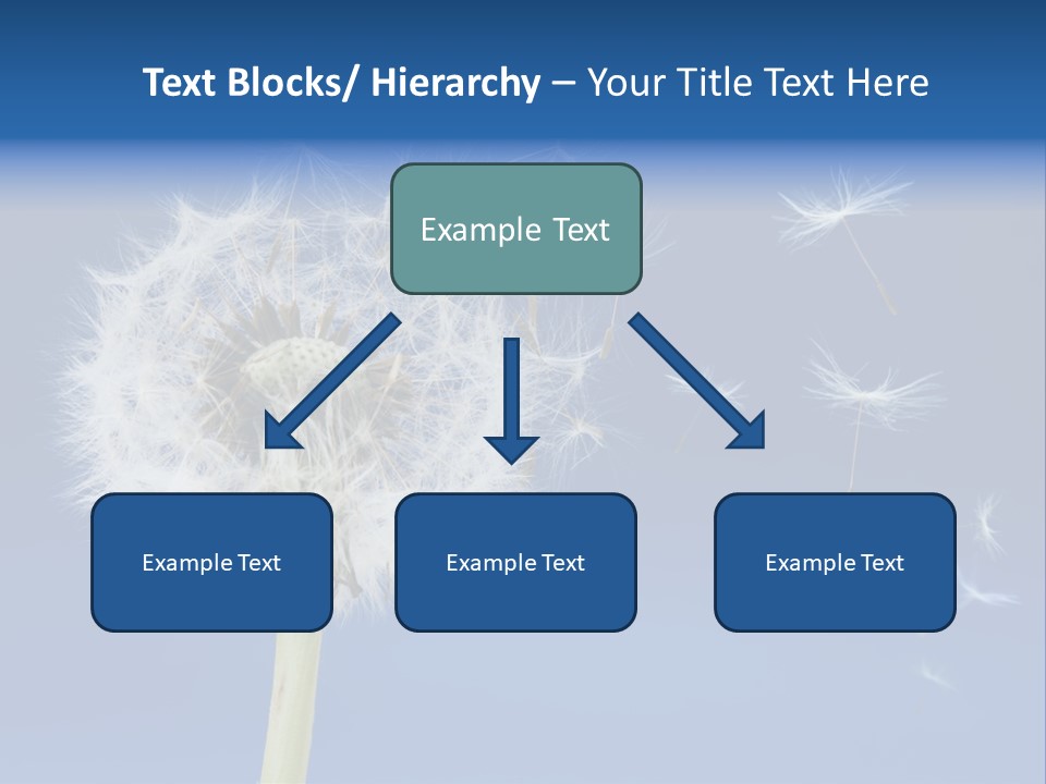 Sky Sunlight Seed PowerPoint Template