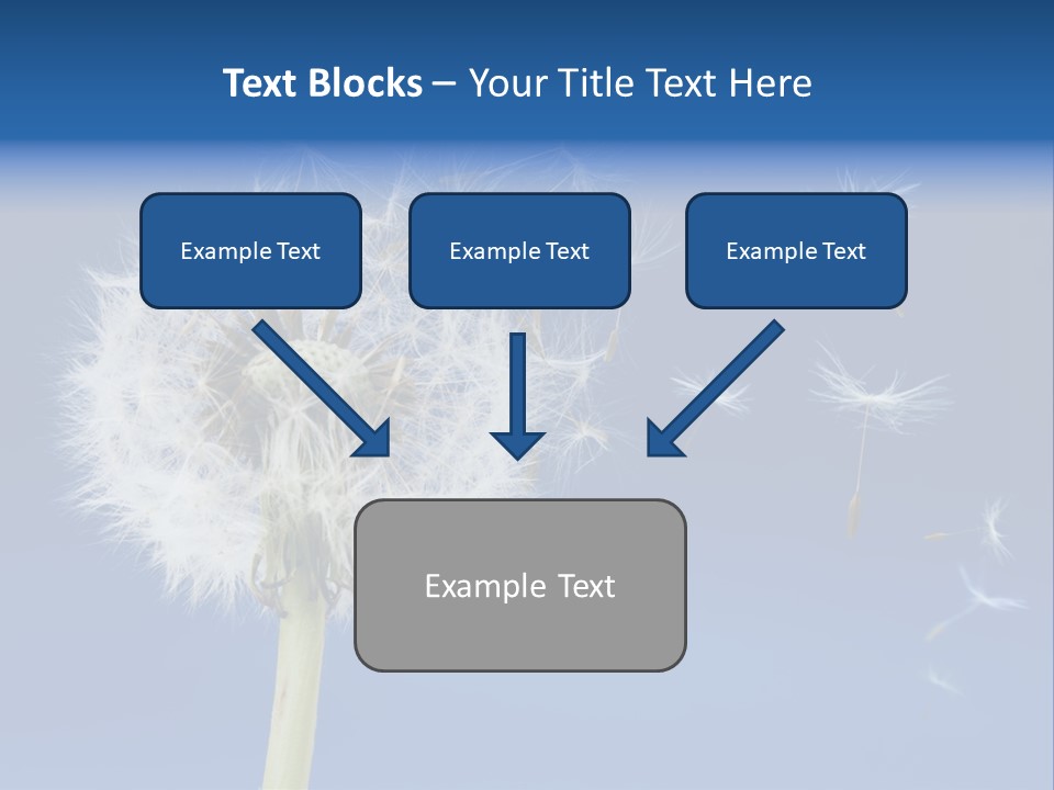Sky Sunlight Seed PowerPoint Template