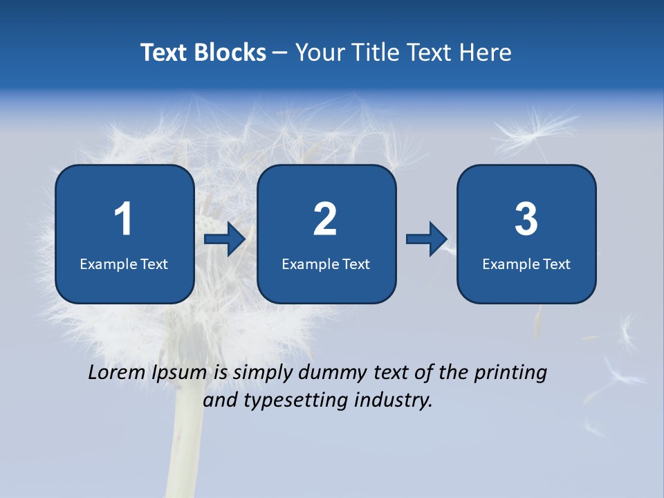 Sky Sunlight Seed PowerPoint Template