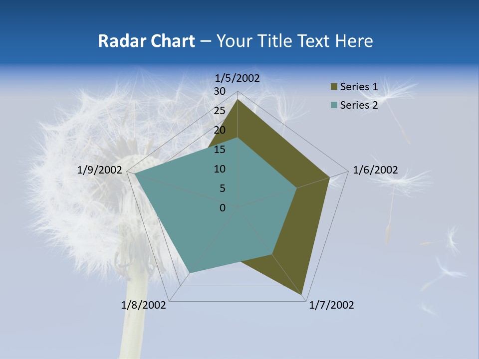 Sky Sunlight Seed PowerPoint Template