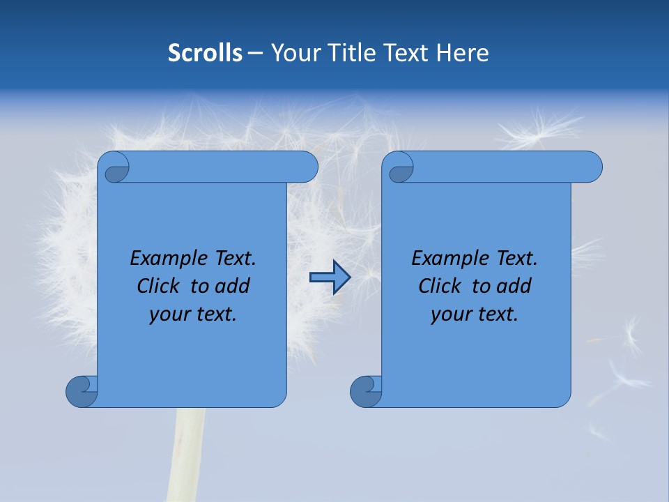 Sky Sunlight Seed PowerPoint Template