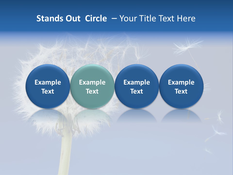 Sky Sunlight Seed PowerPoint Template