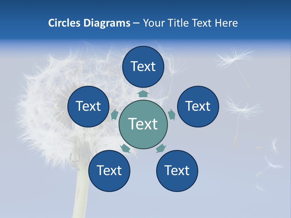 Sky Sunlight Seed PowerPoint Template