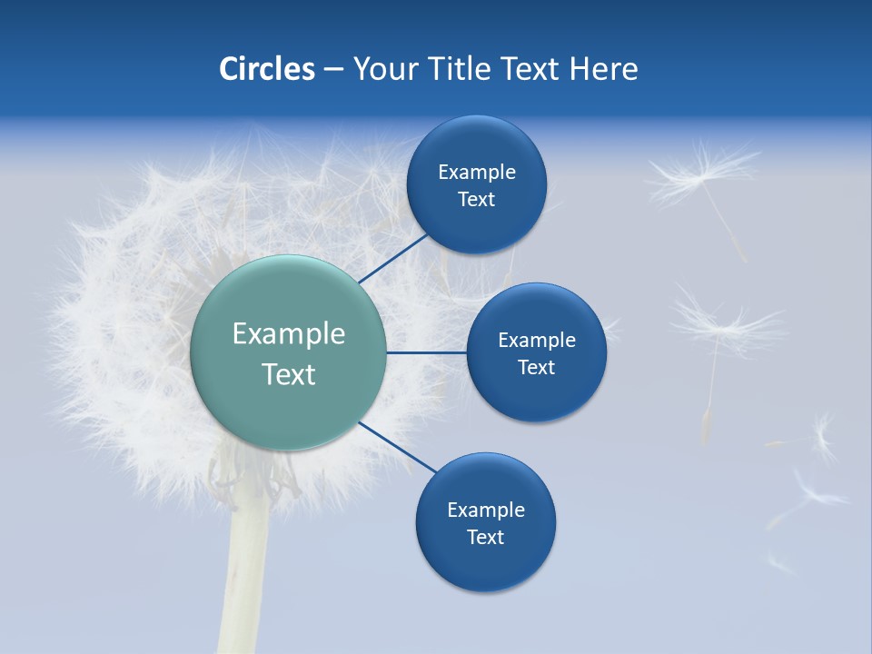 Sky Sunlight Seed PowerPoint Template