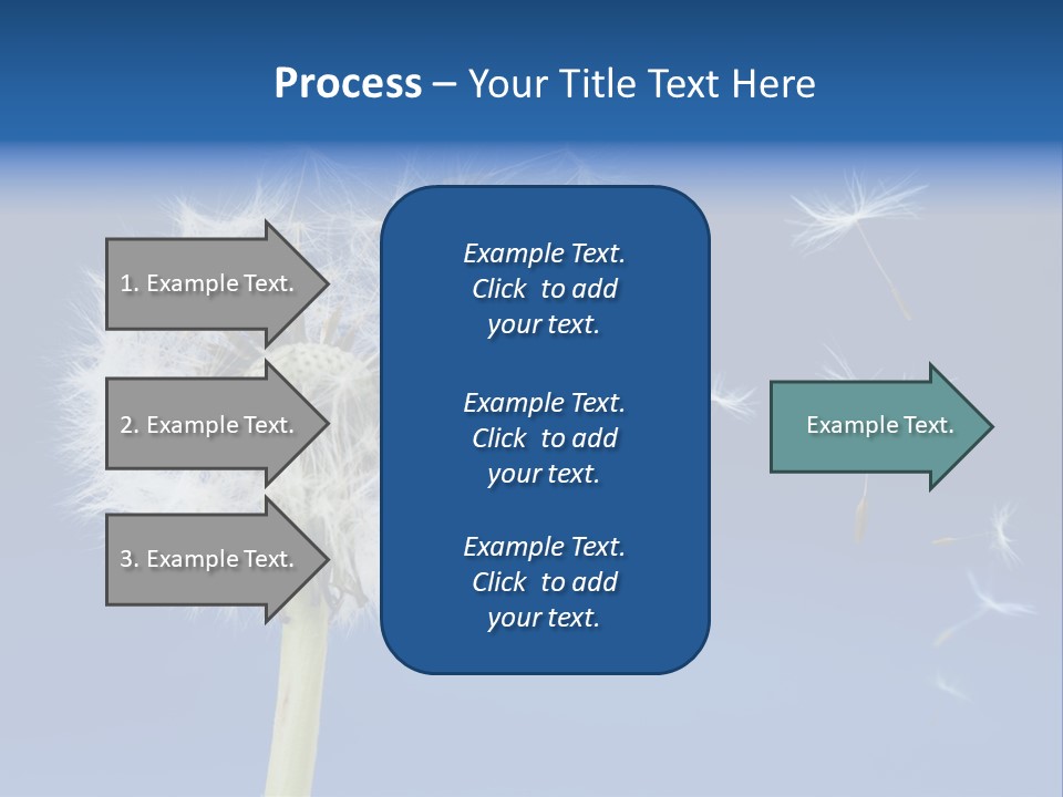 Sky Sunlight Seed PowerPoint Template